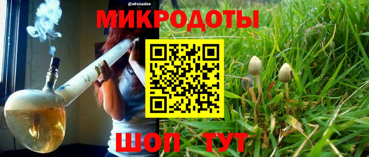 Псилоцибиновые грибы Magic Shrooms Павлово