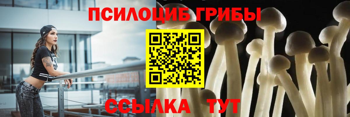 Павлово  цены   Вход с VPN  Псилоцибиновые грибы мухоморы 